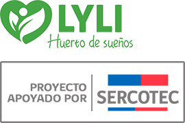 Lyli Huerto de Sueños